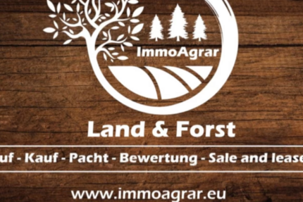 Grundstück Schönhofen Schönhofen - 55.758&euro; | Angebot:26822326