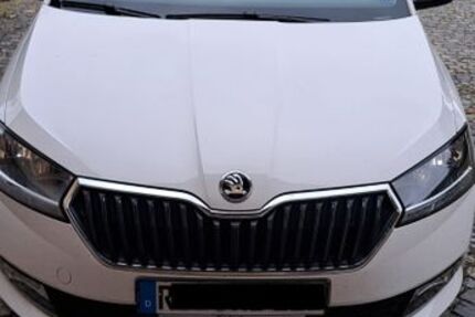 Skoda Fabia 123.000 km 9.200 € Roding 93426