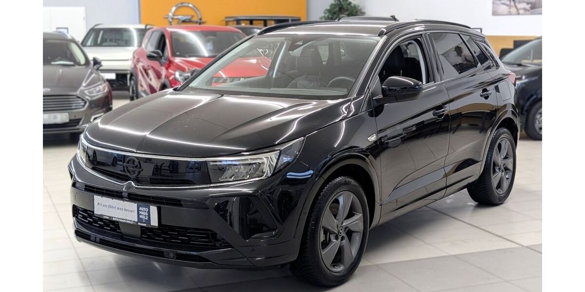 Opel Grandland (X) 21.250 km 24.850 &euro; Landau 76829