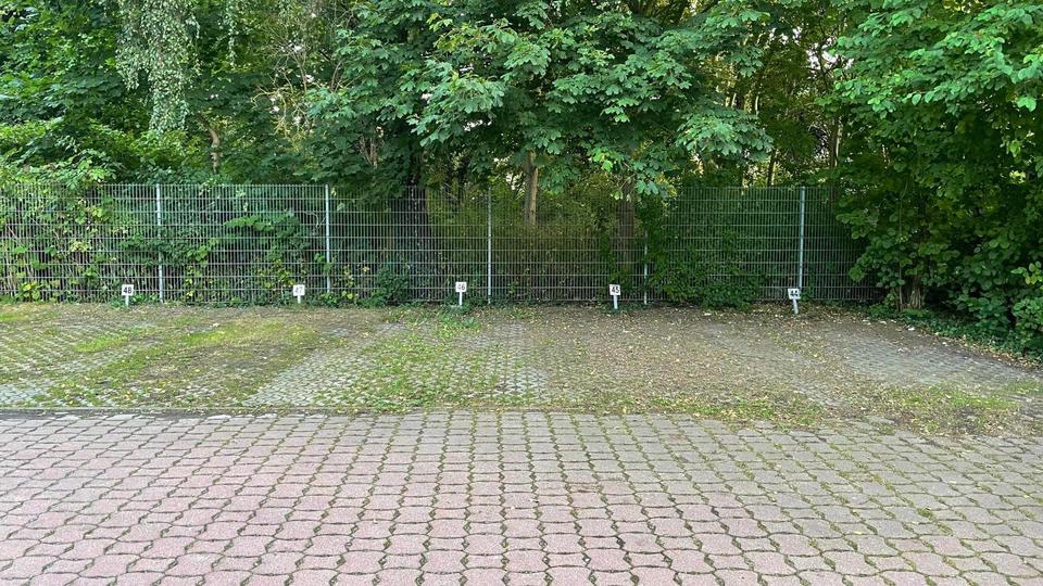Dachgeschoßwohnung Greifswald - 2 Zimmer, 46 m&sup2;, 439&euro; | Angebot:25475745
