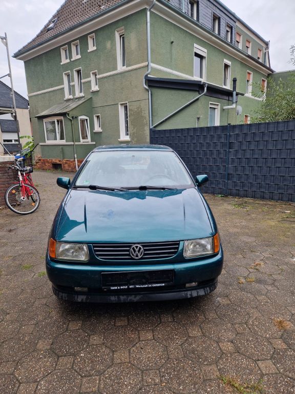 Polo