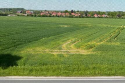 3,5 zkb+40qm zweiAufenthaltsräume über zwei EtagenGarten Terasse 3.5 zimmer