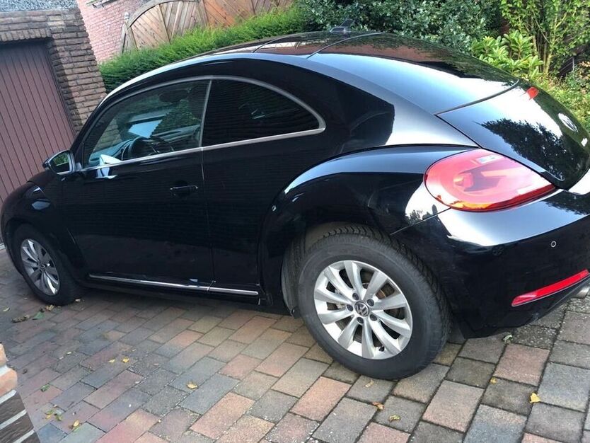 Beetle