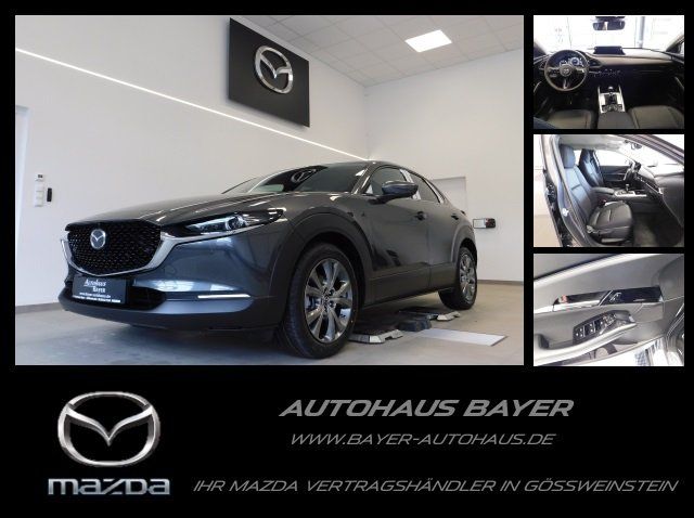 CX-30