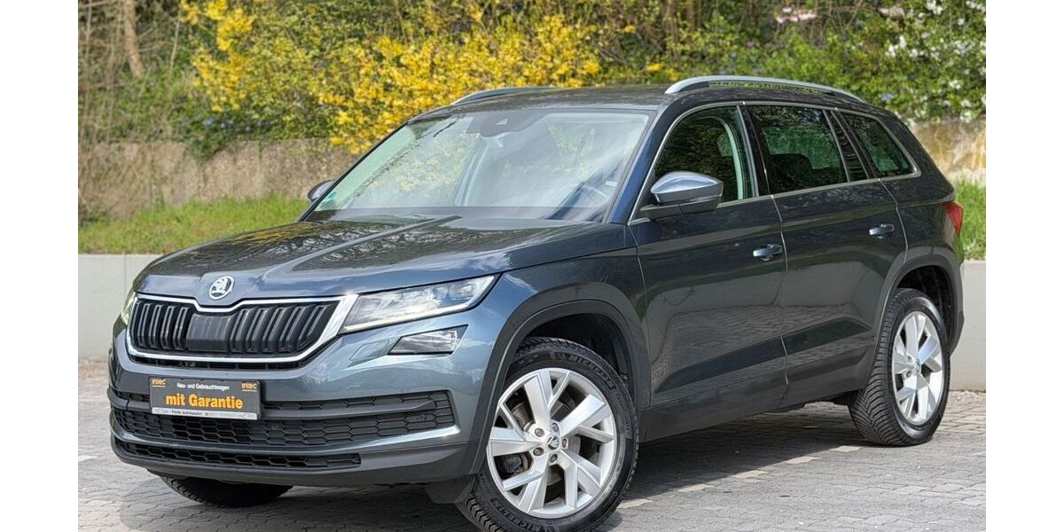 Skoda Kodiaq 119.200 km 23.490 &euro; Kiel 24147
