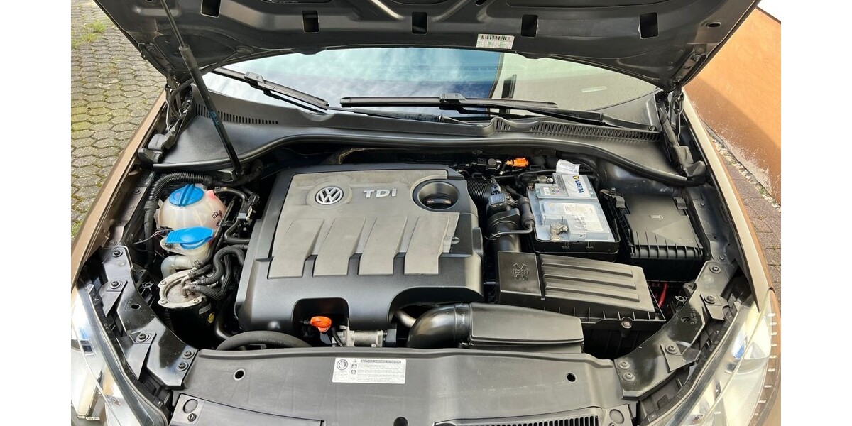 VW Golf 259.000 km 5.400 € Weitersburg 56179