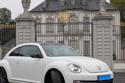 VW Beetle 84.678 km 9.990 € Wesseling 50389