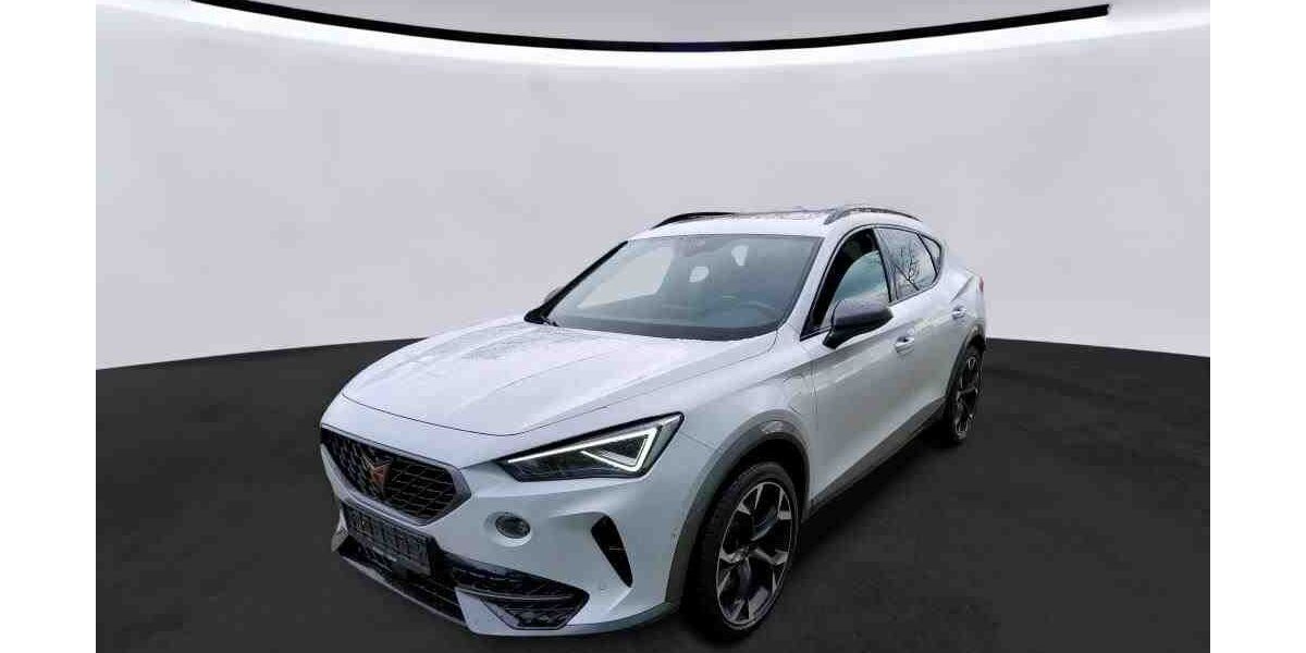 Cupra Formentor 30.900 km 28.999 &euro; Mühlheim 63165