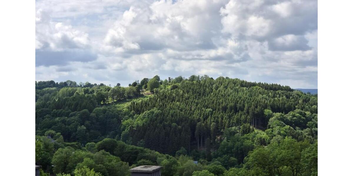 Villa Annaberg-Buchholz Buchholz - 32 Zimmer, 952 m&sup2;, 350.000&euro; | Angebot:26802705