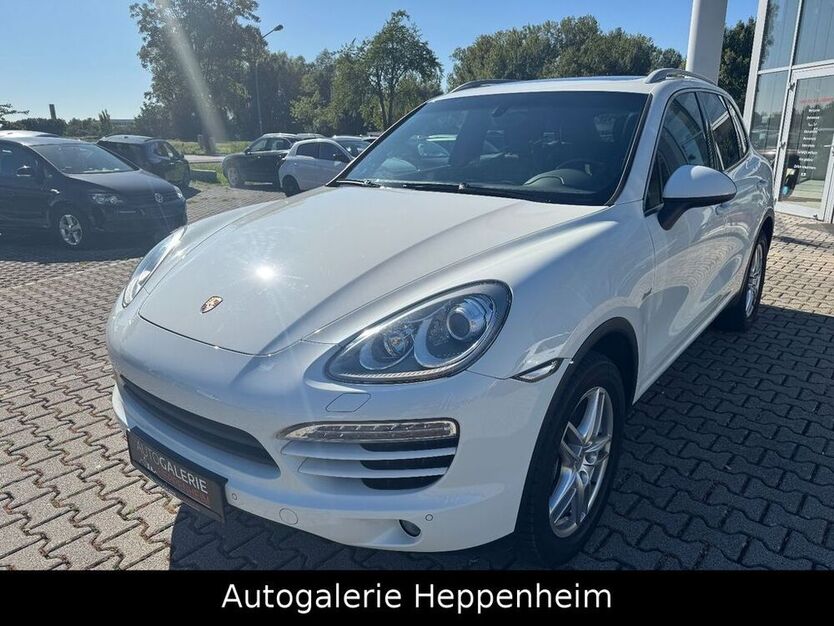 Cayenne