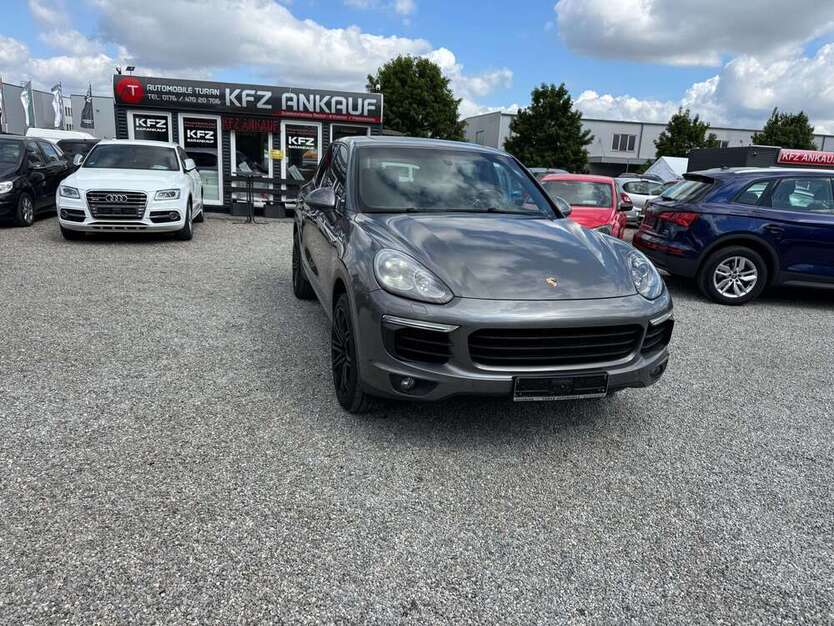 Cayenne