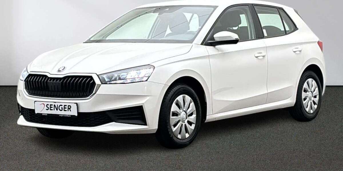 Skoda Fabia 28.038 km 17.480 &euro; Emsdetten 48282