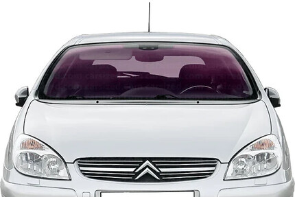 Citroen C5 300.648 km 2.200 € Offenburg 77652