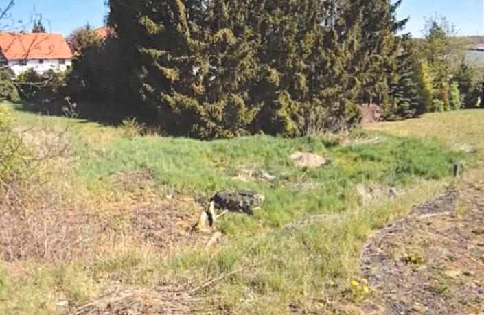 Idyllischer & voll sanierter Resthof mit 3 Wohneinheiten 8 zimmer