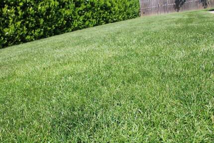 Grundstück Regensburg Schwabelweis - 380.000&euro; | Angebot:25373959