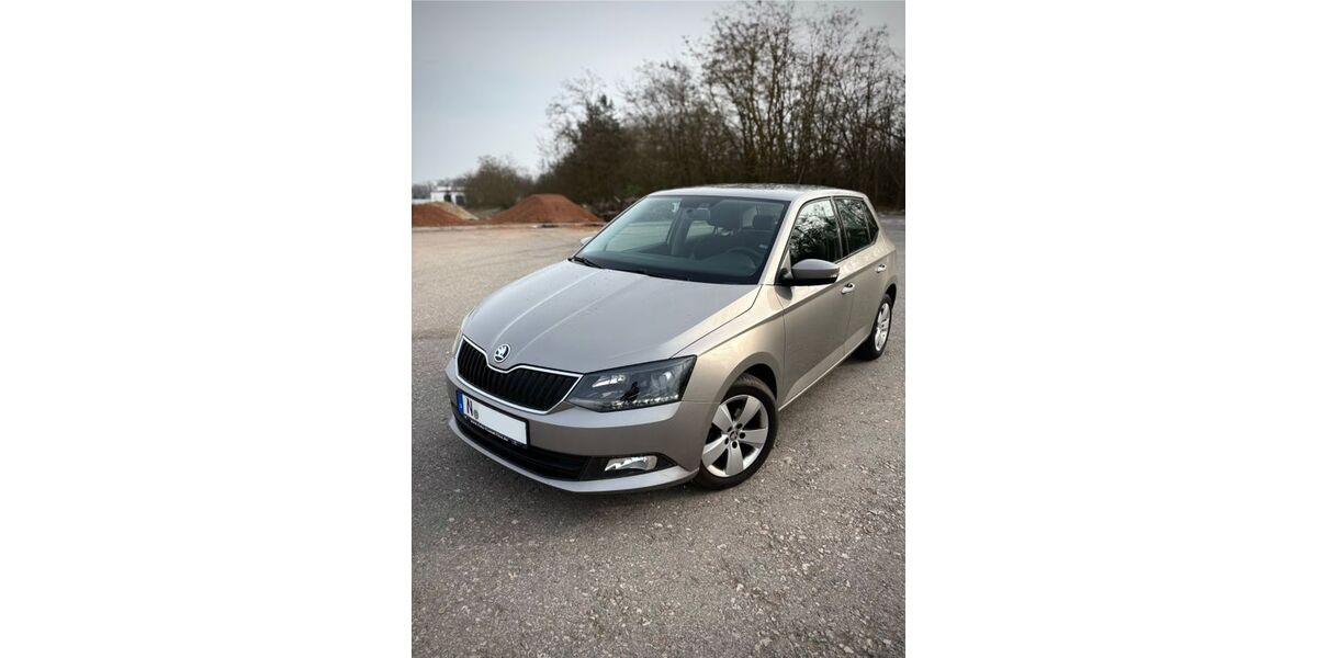 Skoda Fabia 84.000 km 9.000 &euro; Fürth 90766