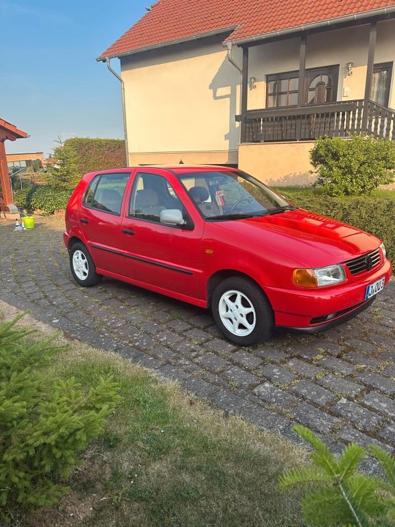 Polo