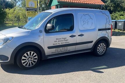 Mercedes Citan