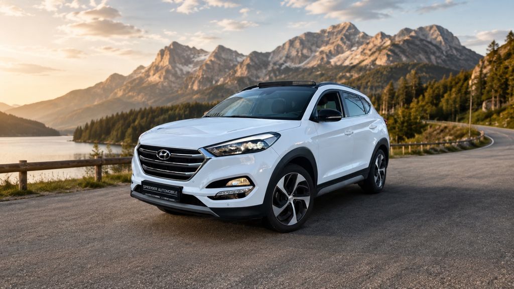 Hyundai TUCSON 82.000 km 14.950 &euro; Speyer 67346