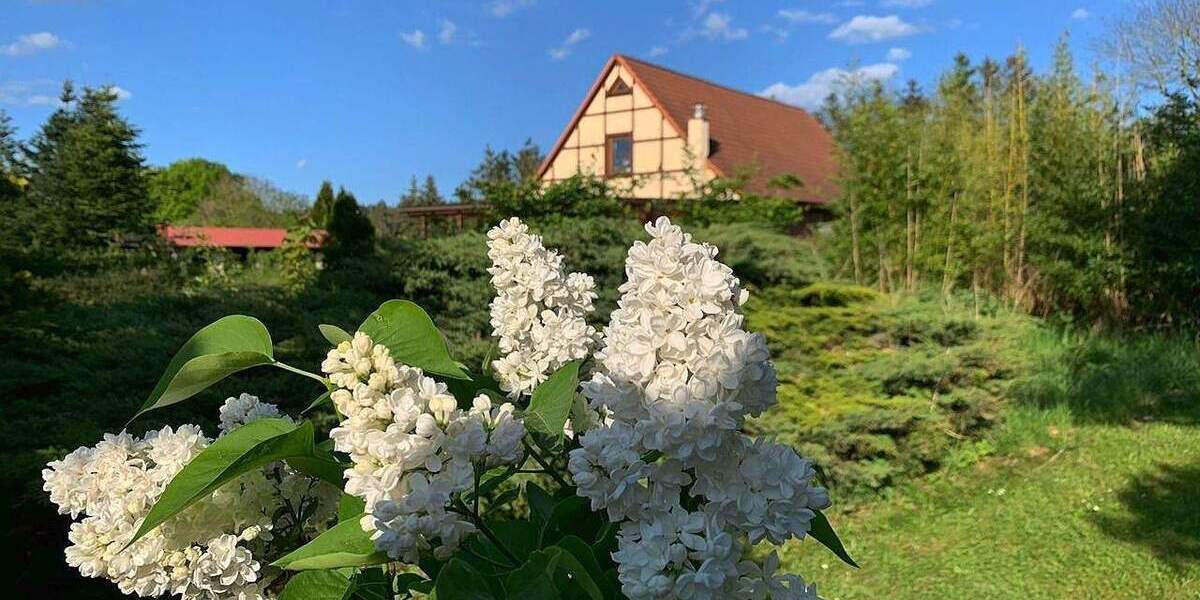 Einfamilienhaus Krakow am See Charlottenthal - 5 Zimmer, 200 m&sup2;, 599.000&euro; | Angebot:25662232