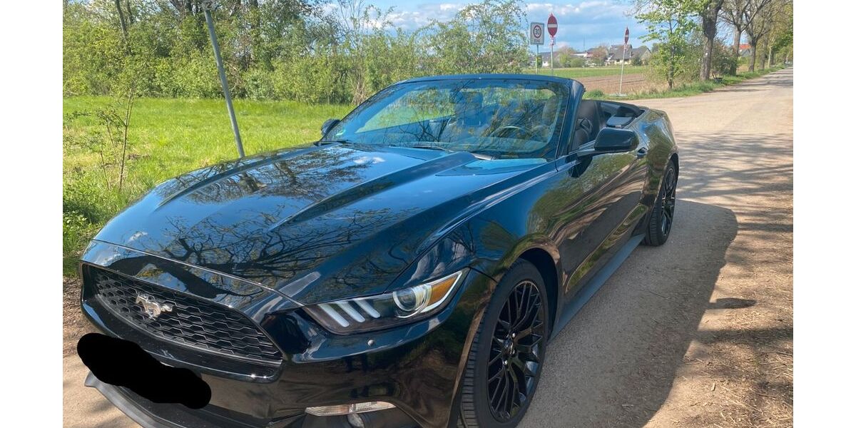 Ford Mustang 43.000 km 29.600 &euro; Minfeld 76872