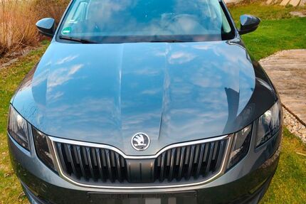 Skoda Octavia 129.500 km 15.500 &euro; Perlesreut 94157