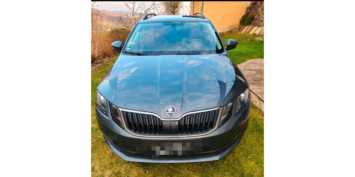 Skoda Octavia 129.500 km 15.500 &euro; Perlesreut 94157