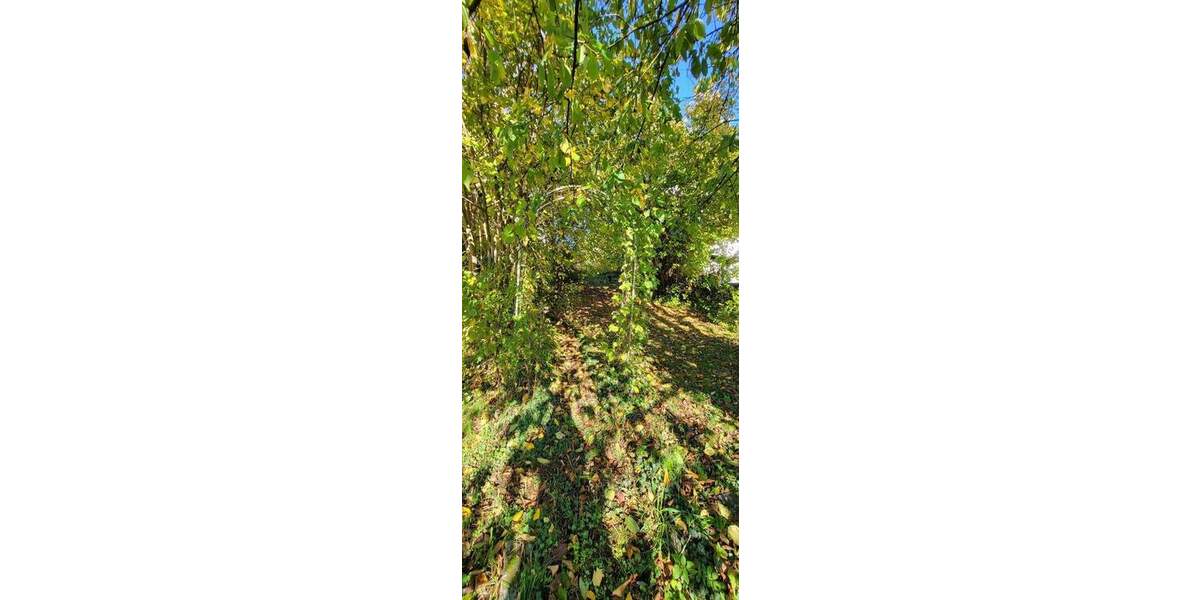 Grundstück Plaidt - 115.000&euro; | Angebot:25797274