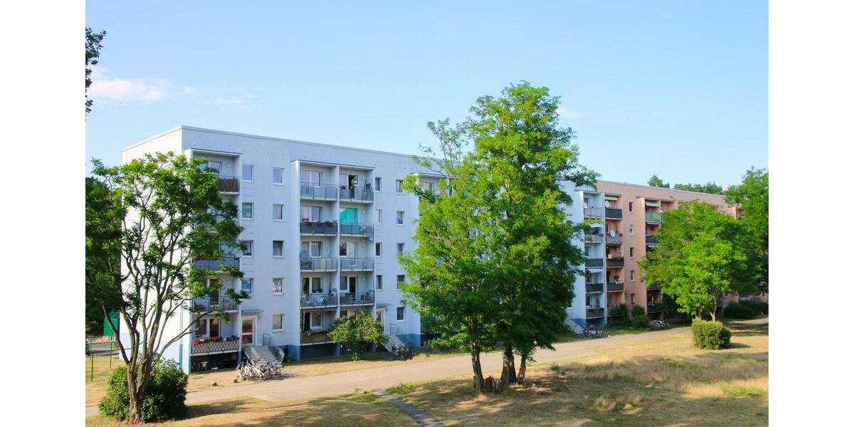 Waldesruh - frisch renovierte 4-Zimmer-Wohnung mit viel Raum zum Wohlfühlen 4 zimmer