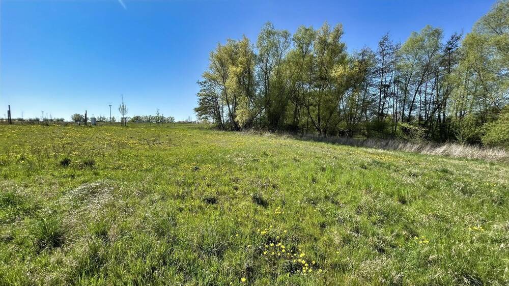 Grundstück Wohlenberg Wohlenberg - 469.000&euro; | Angebot:25731157