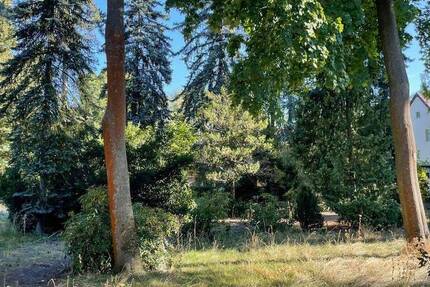 Selber Bauen in Waldsteinberg! zimmer