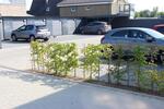 Etagenwohnung Heide - 3 Zimmer, 75 m&sup2;, 895&euro; | Angebot:24937945