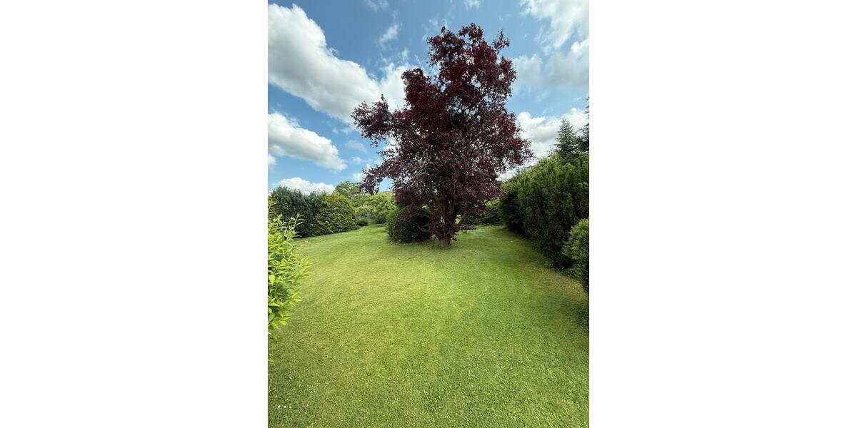 Einfamilienhaus Bad Salzdetfurth - 8 Zimmer, 250 m&sup2;, 295.000&euro; | Angebot:26816511