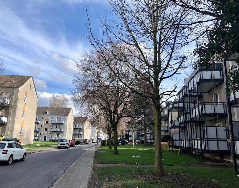 Wohnung zum Mieten in Düsseldorf 666 € 54.36 m²