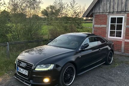 Audi A5 174.000 km 16.499 € Lage 49828