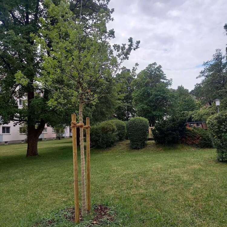 Wohnung zum Mieten in München 1.290 € 53.2 m²