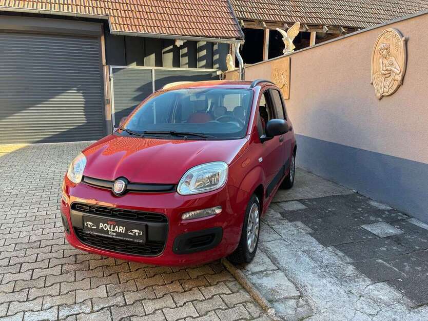 Panda