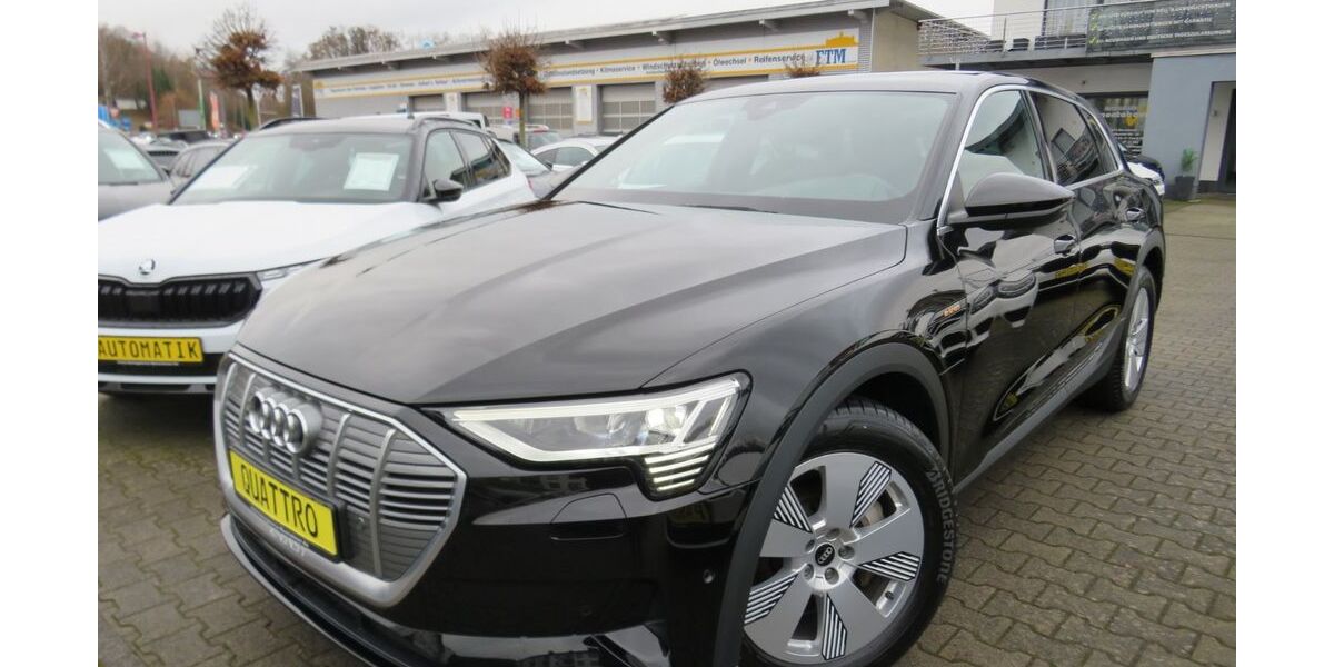 Audi e-tron 50.000 km 32.990 € Montabaur 56410
