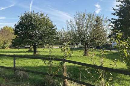 Grundstück zu verkaufen in Kalkar 139.000 € 1260 m² zimmer