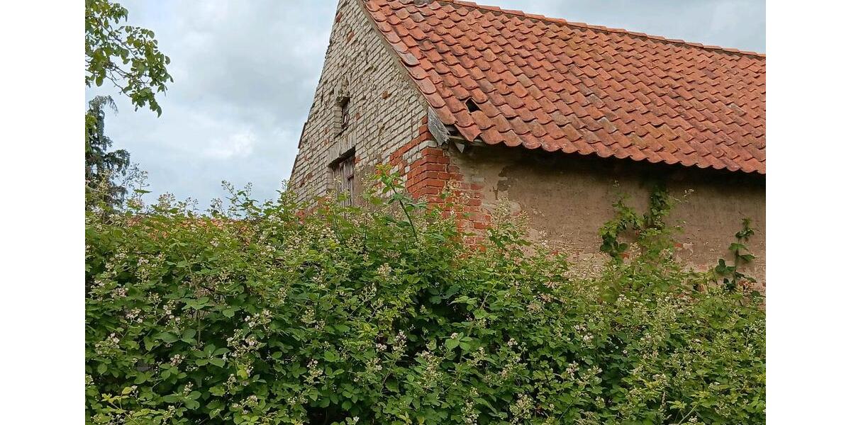 Mehrfamilienhaus, Wohnhaus Arendsee (Altmark) - 12 Zimmer, 300 m&sup2;, 70.000&euro; | Angebot:26957652