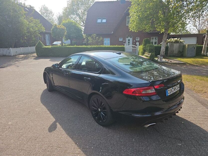 XF