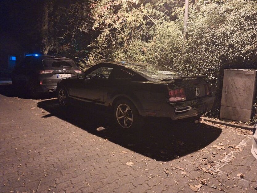 Mustang