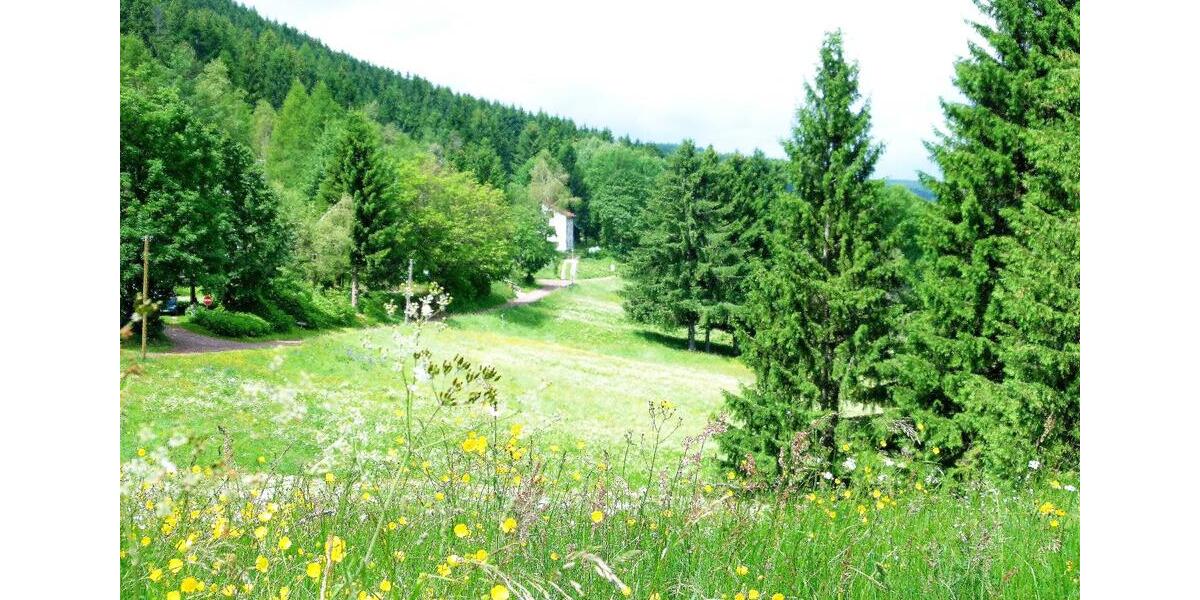 Einfamilienhaus Suhl Schmiedefeld am Rennsteig - 5 Zimmer, 165 m&sup2;, 199.000&euro; | Angebot:26763664