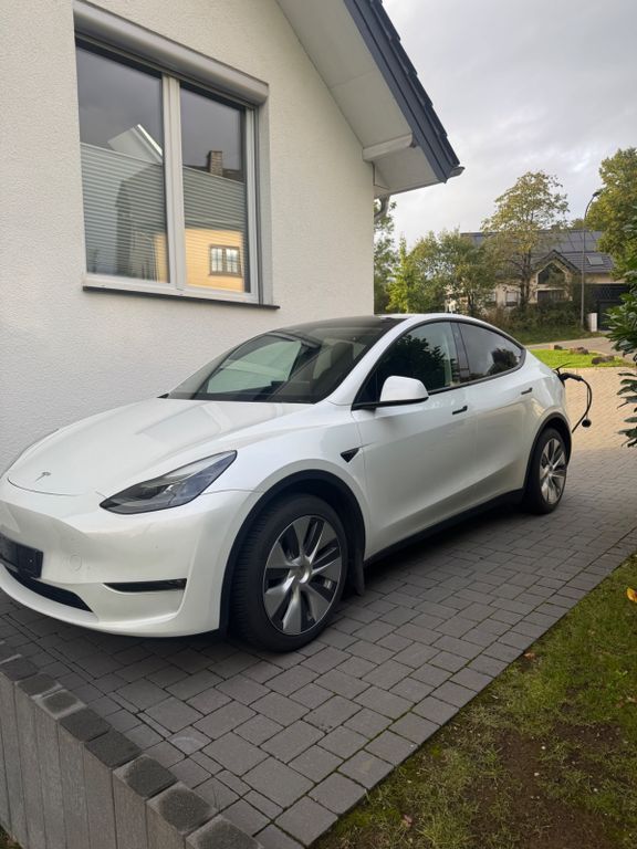 Model Y