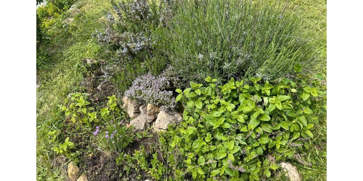 Grundstück Stuttgart Feuerbach - 50&euro; | Angebot:26693203