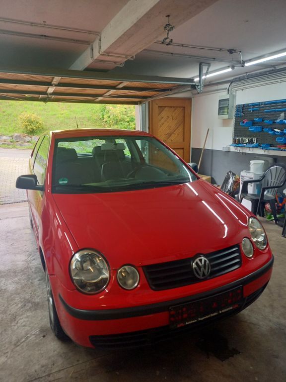 Polo