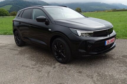 Opel Grandland (X) 119.531 km 14.999 &euro; Gengenbach 77723