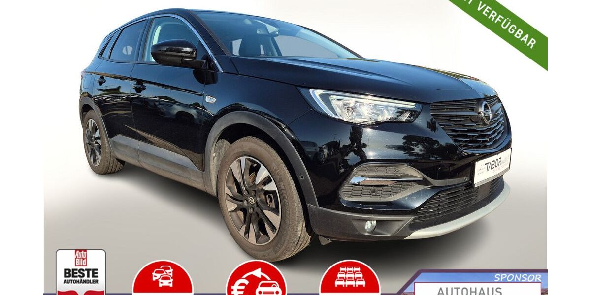 Opel Grandland (X) 30.340 km 16.688 &euro; Kehl 77694