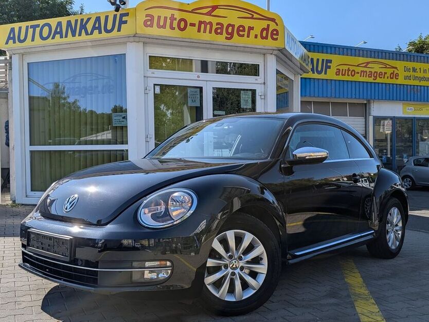 Beetle