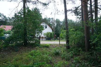 Grundstück Borkwalde - 9.000&euro; | Angebot:16168941